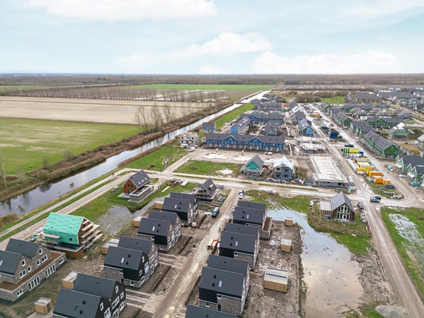 57-Moerasorchidee 29 - Lelystad.JPG